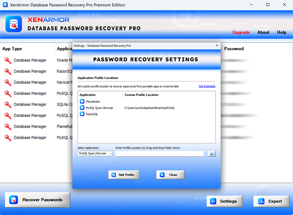 Windows 8 Database Password Recovery Pro full