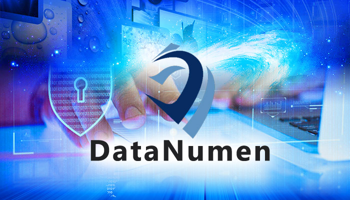 How to Find Your DataNumen Product or License Key