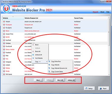 websiteblockerpro-step3-block-website-new