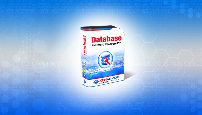 User Guide - Database Password Recovery Pro 2023 Edition