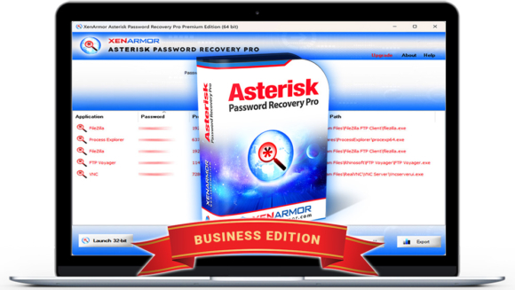 laptop-box-asterisk-password-recovery-pro-101