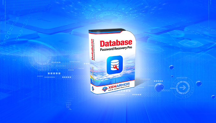 User Guide - Database Password Recovery Pro 2023 Edition